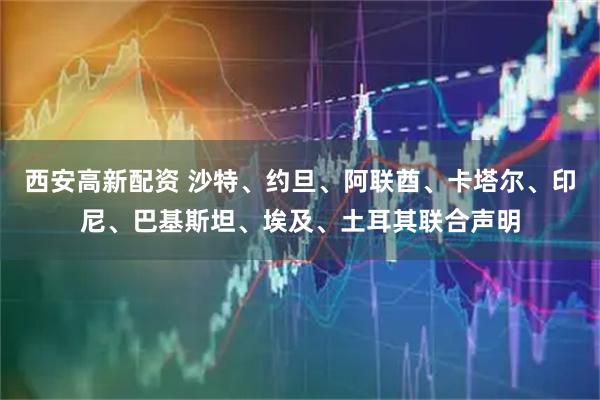 西安高新配资 沙特、约旦、阿联酋、卡塔尔、印尼、巴基斯坦、埃及、土耳其联合声明