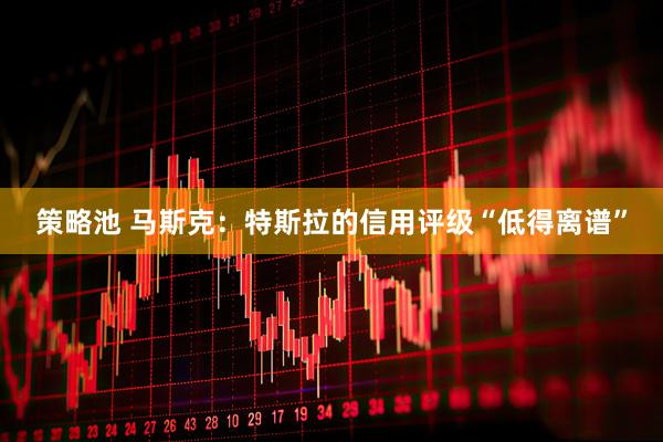 策略池 马斯克：特斯拉的信用评级“低得离谱”