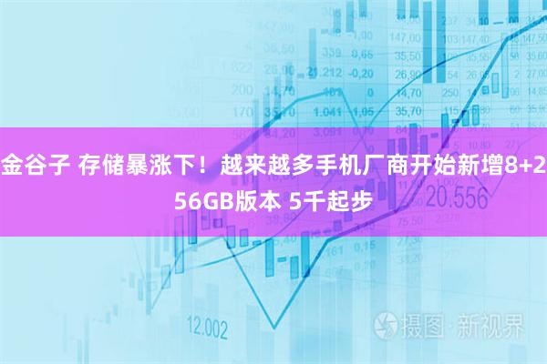 金谷子 存储暴涨下！越来越多手机厂商开始新增8+256GB版本 5千起步